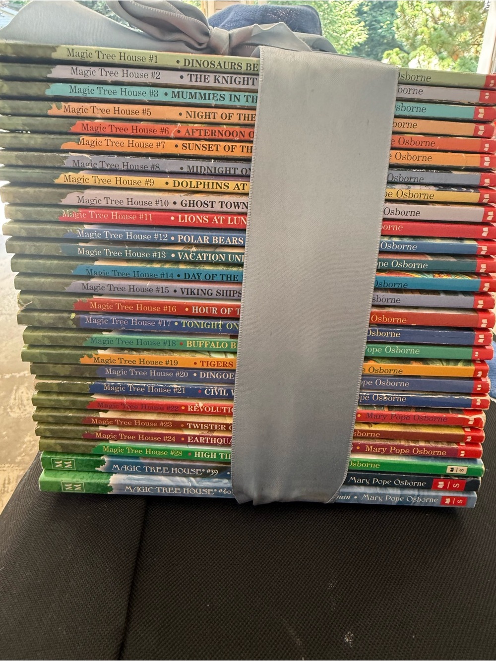Magic Tree House Children's Book Set